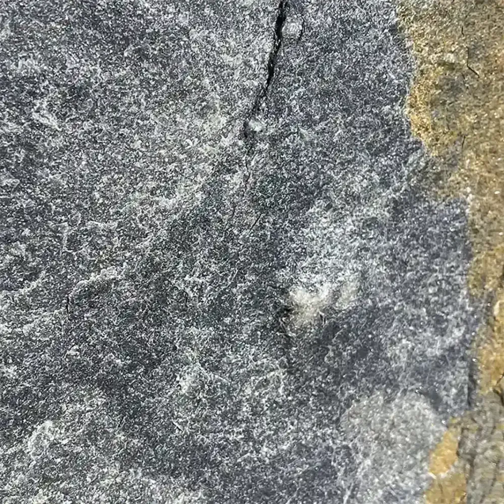 Vzorek přírodního kamene Quartzit Deep Sea