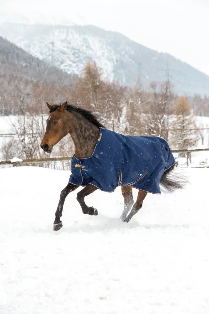 Irish coperta per esterno, 300g Dark Blue/Gold 120